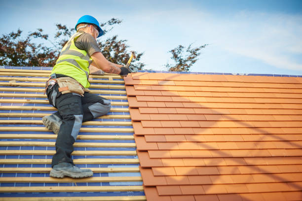 Best Roof Maintenance and Cleaning  in Myerstown, PA